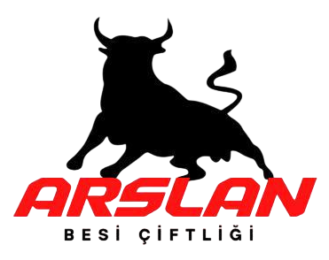arslanbesi.com